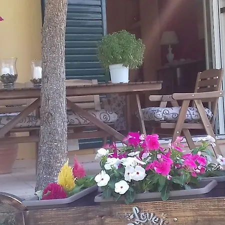 Sonia's Cozy House
