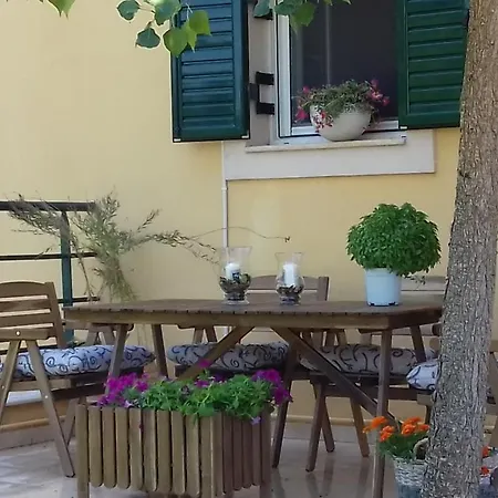 Sonia's Cozy House *
