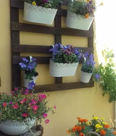 בית נופש Sonia's Cozy House Kompítsion