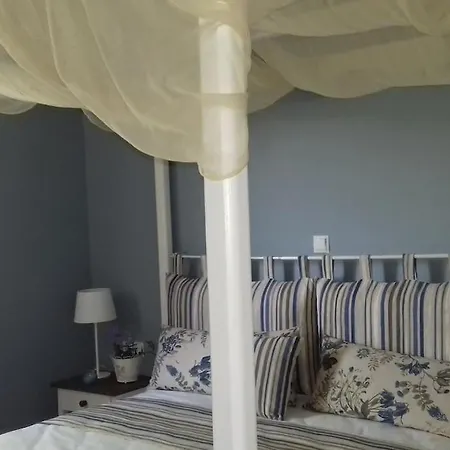 Sonia's Cozy House *